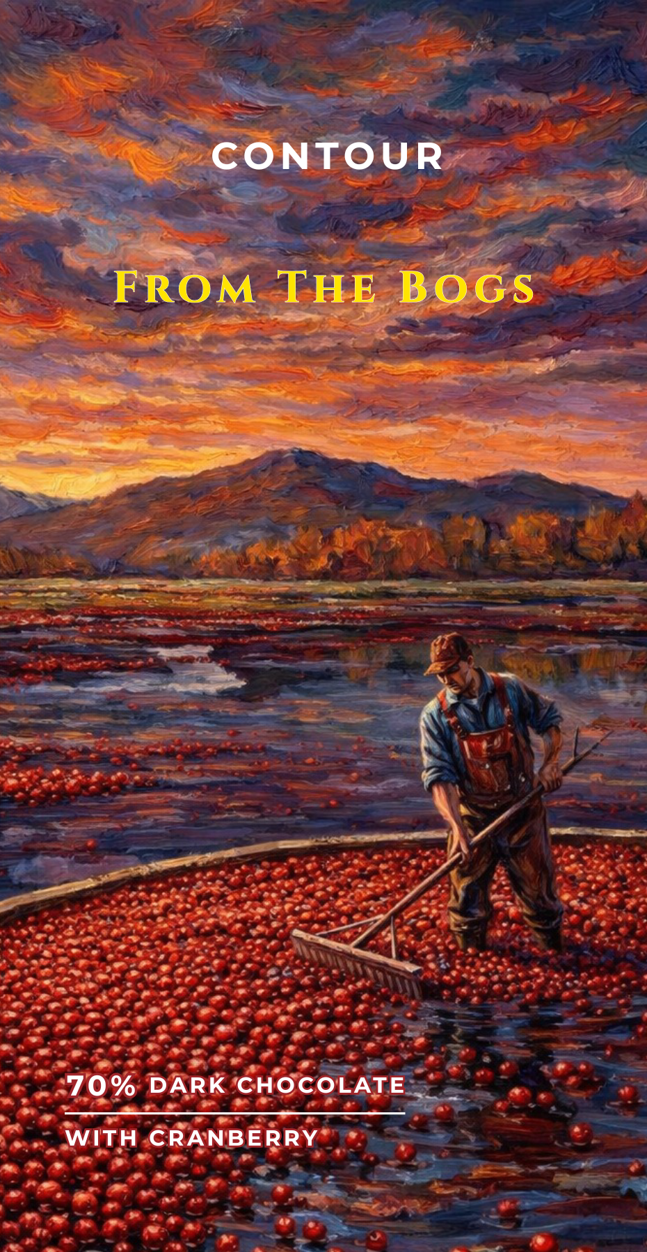 services-02 Front of Contour From The Bogs 70% dark chocolate packaging with marshland artwork